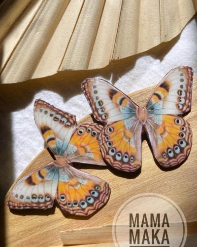 Falena Multicolor