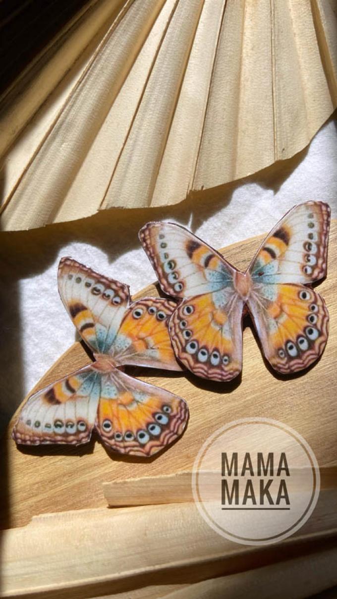 Falena Multicolor