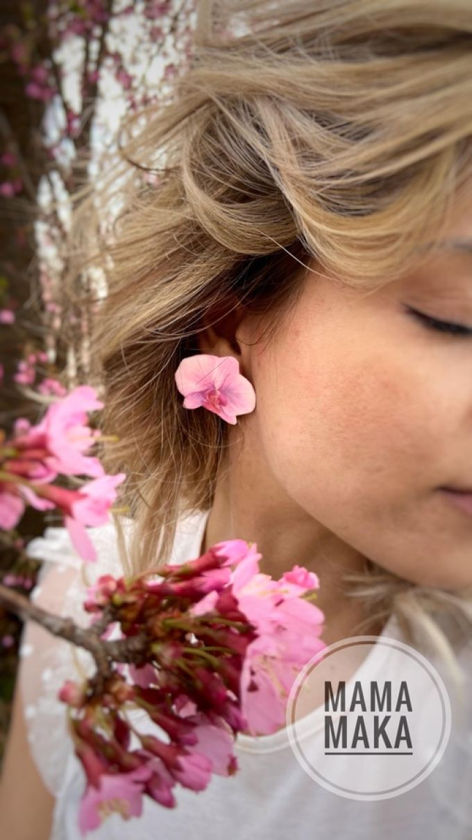 Orchidea
